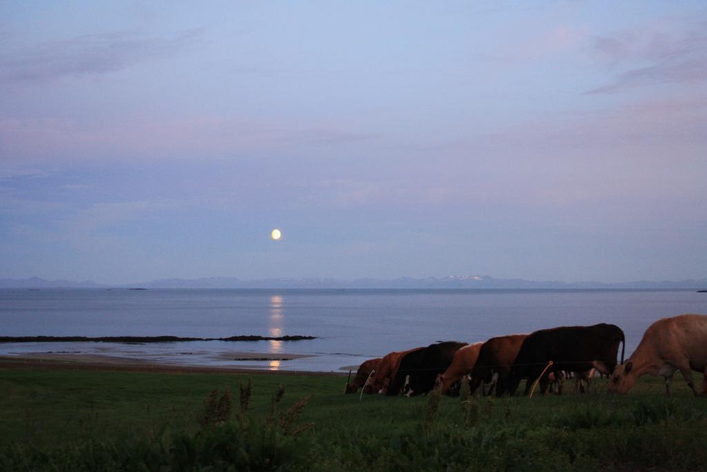 Rauthsdalur Villa Brjanslaekur Luaran gambar